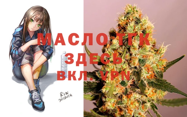 2c-b Горняк